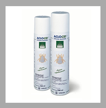 Aclocid Aclocid